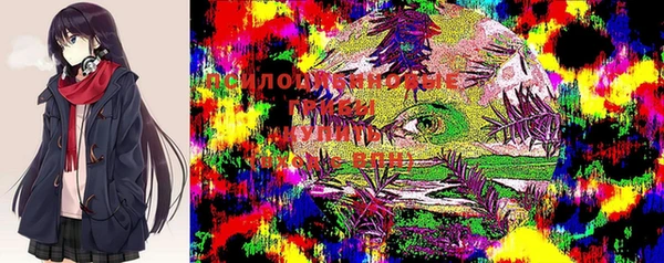 spice Заволжск