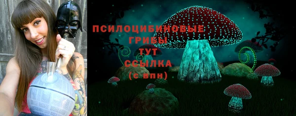 дживик Корсаков