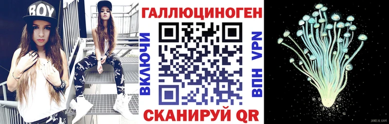 купить  цена  Алагир  Галлюциногенные грибы Psilocybe 